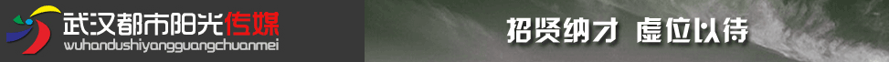 hꖹV޹˾