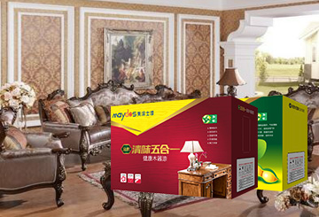 Ϳʿ1